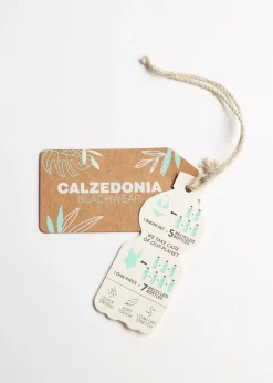 Bikini^Calzedonia Bikini Bottoms Indonesia 06 - Black